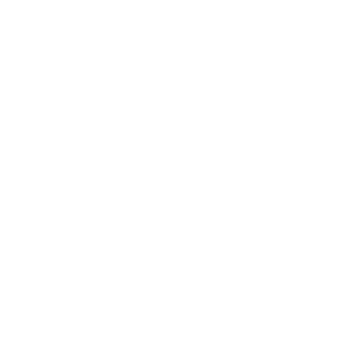 Catalyseurs de socialisation et  d'insertion (CSI)